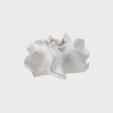 Stoneware Planter