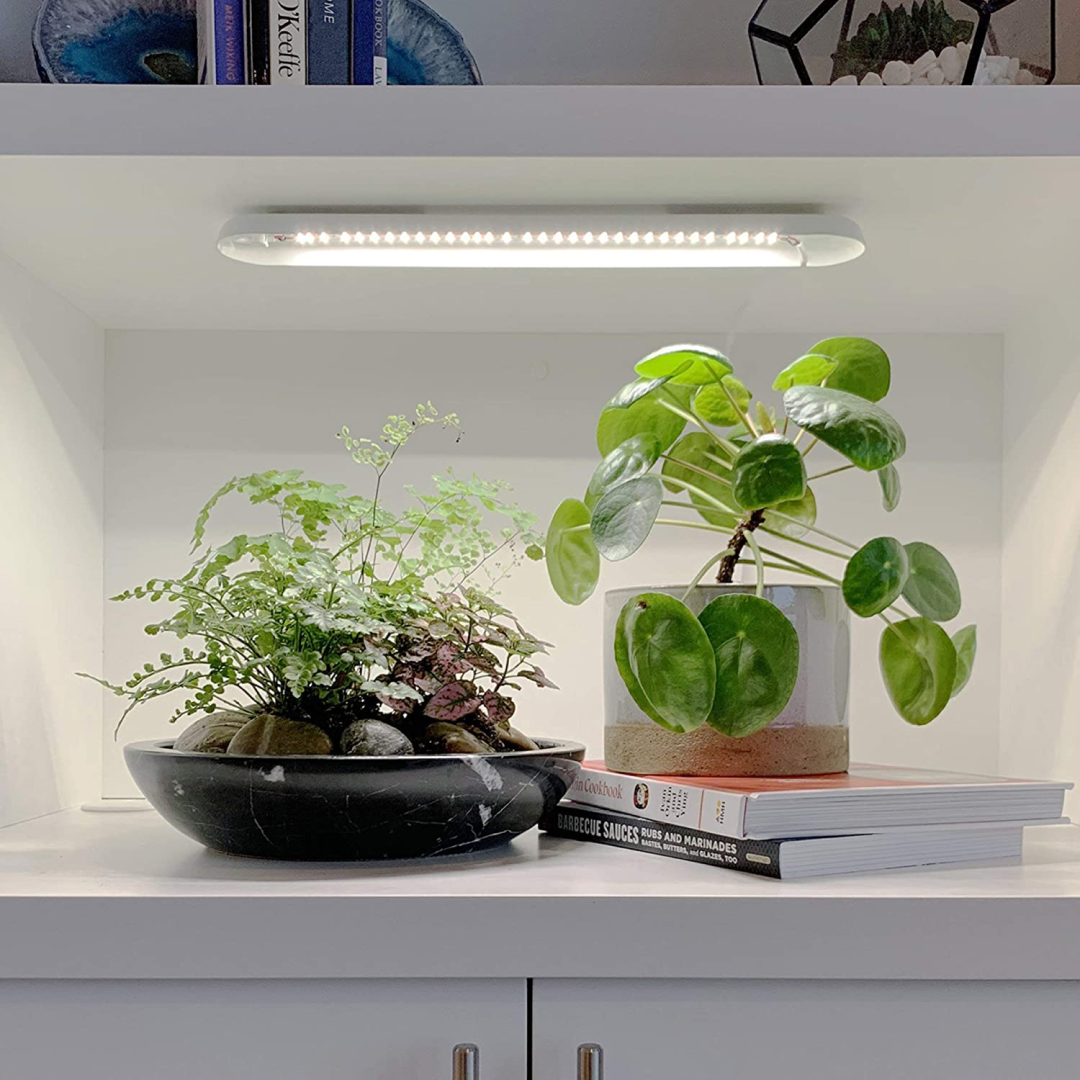 Growbar