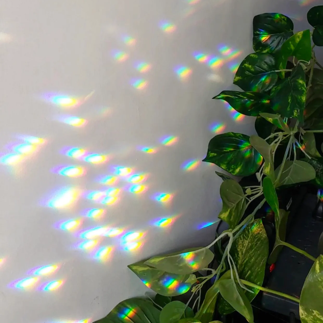 Borrowed Light Sun Catcher