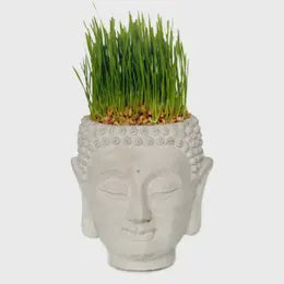 Small Cement Buddha Head Planter