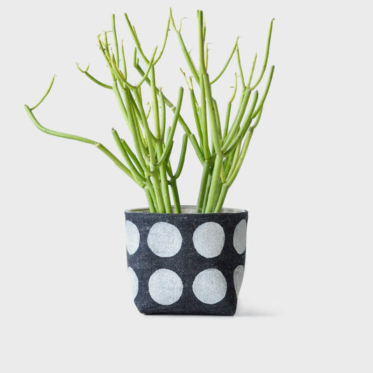 Multi Dot Blockprint Denim Planter - 4"