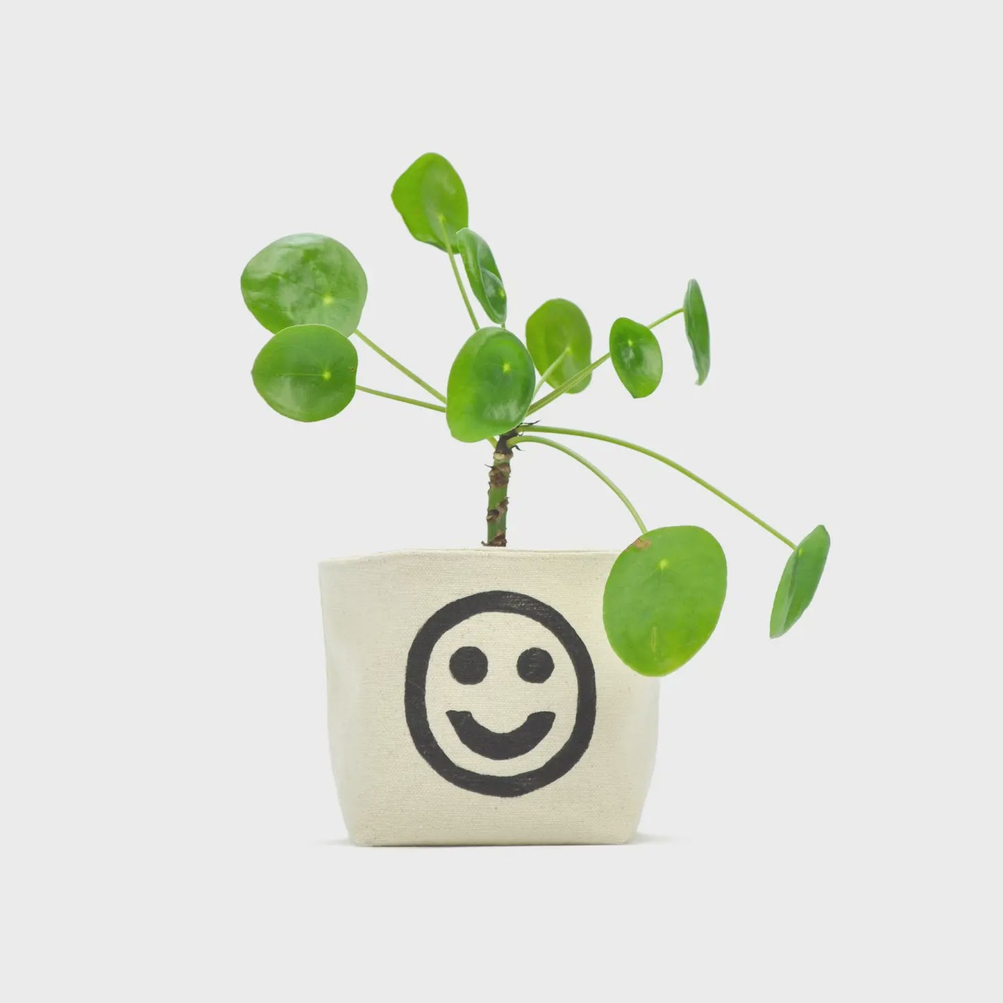 Smiley Face Blockprint Canvas Planter- 4"