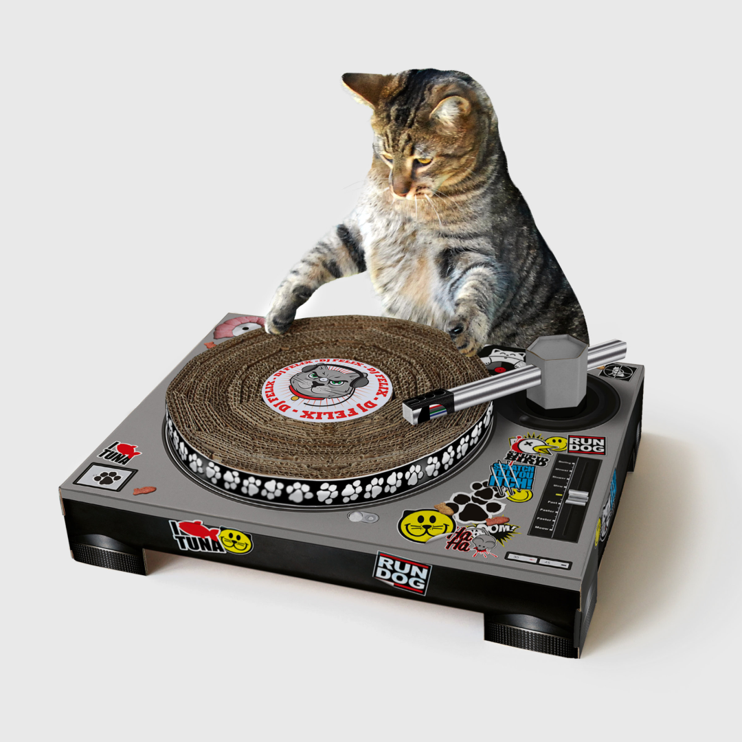 Cat Scratch DJ