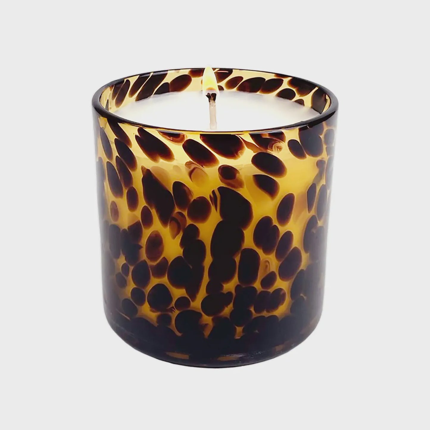 Tortoise Soy Blend Candle